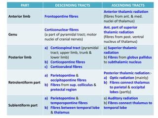 Internal Capsule-Anatomy | PPT