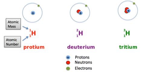 The Three Isotopes of Hydrogen | Differences & Properties - Lesson | Study.com