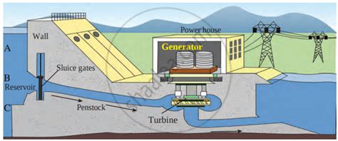 Explain with a diagram of step-by-step energy conversion in Hydroelectric power plant. - Science ...