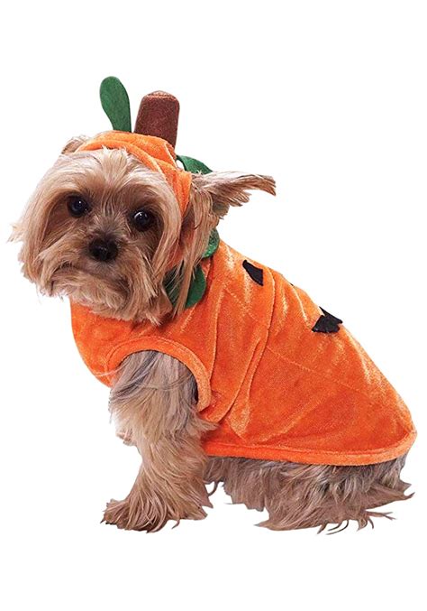 Dog Pumpkin Costume