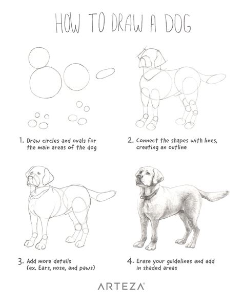 How To Draw A Dog Realistic Step By Step at Drawing Tutorials