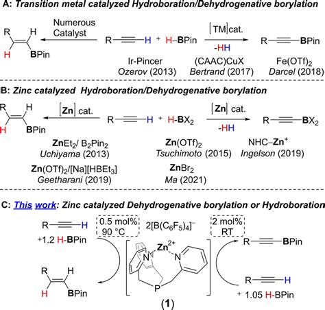 Examples of hydroboration and dehydrogenative borylation reactions:... | Download Scientific Diagram