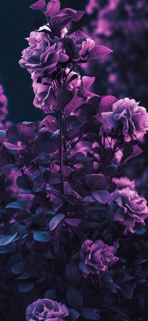 Discover more than 77 wallpaper dark purple latest - in.coedo.com.vn