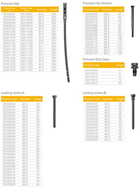 Proximal Femoral Nail | Osteobionics Sdn Bhd