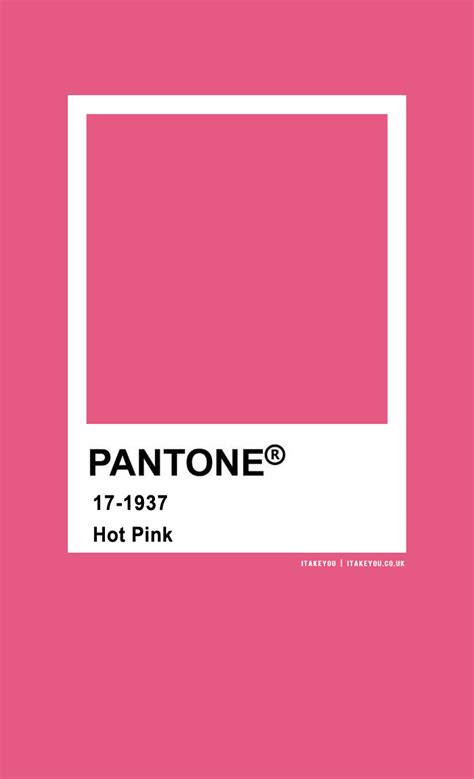 Pantone Color : Pantone Hot Pink I Take You | Wedding Readings | Wedding Ideas | Wedding Dresses ...