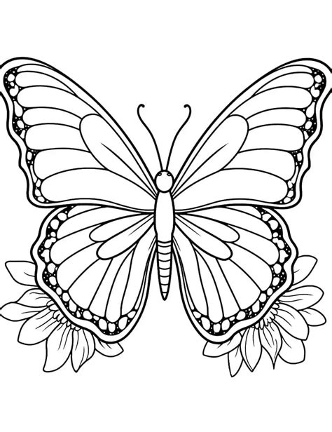 50 Butterfly Coloring Pages: Free Printable Sheets