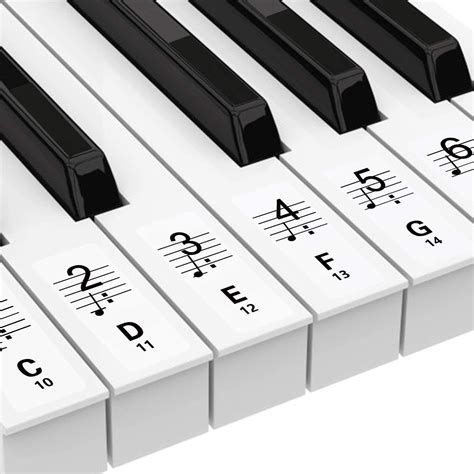 Printable Piano Key Labels