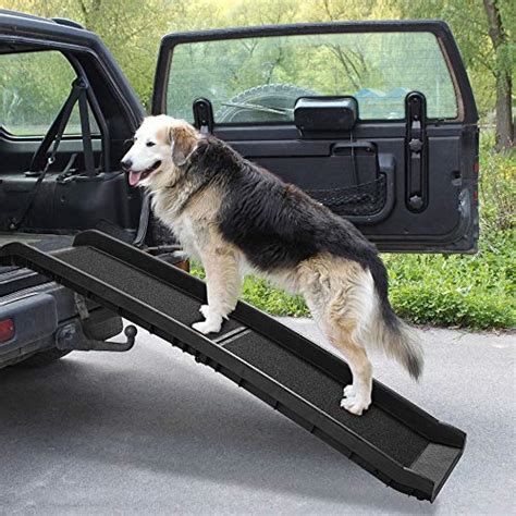 6 Best Dog Ramps for Your RV - (Rated & Reviewed)