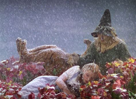 Wizard Of Oz Poppies Snow