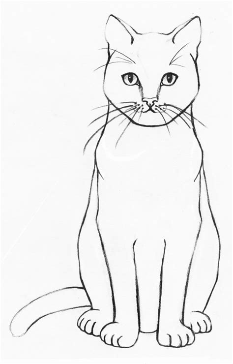 Cat drawing for beginners - ascseevent