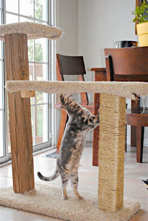 Diy Cat Scratcher Post - 25 Easy DIY Cat Scratching Post Ideas - meowlogy / I was pretty much ...