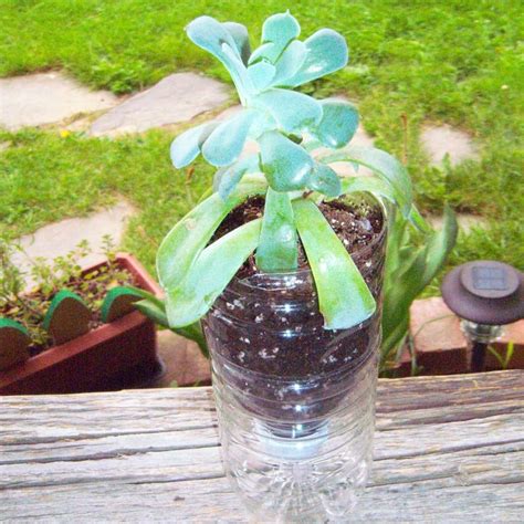 How to Make a Recycled Plastic Bottle Planter | ThriftyFun