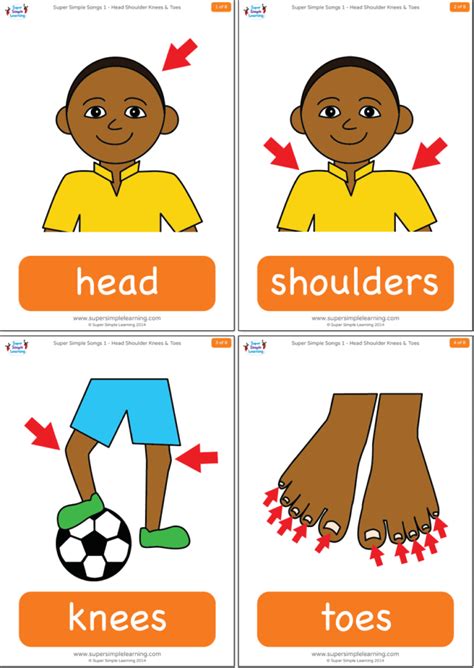 Head Shoulders Knees & Toes Flashcards - Super Simple