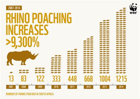 Major Increase in Rhino Poaching - Fascinating Africa