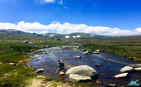 7 Essential Things to You Should Know Before Visiting Kosciuszko National Park