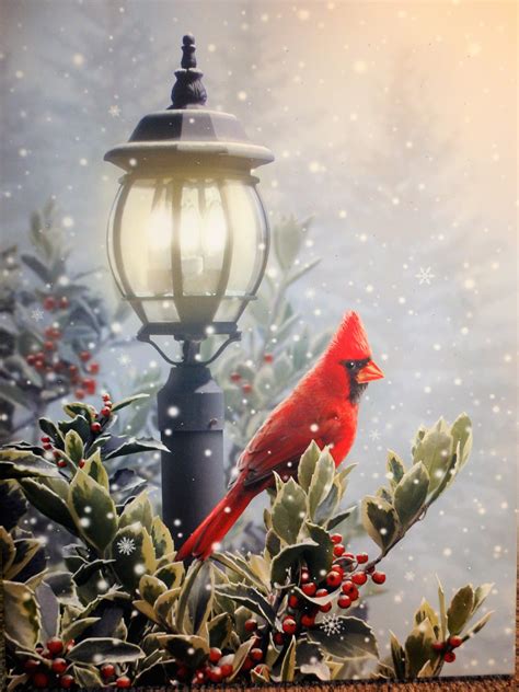 Christmas Cardinal with Holly | Holiday canvas, Christmas paintings, Christmas bird