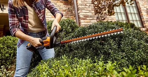 5 Best Battery Powered Hedge Trimmers of 2024 for Any Season