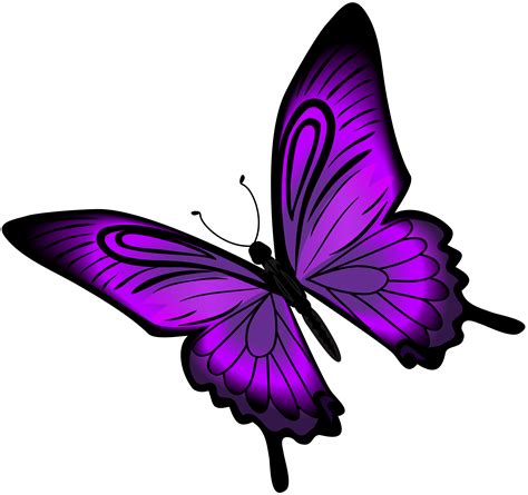 Purple Butterfly Clip art - Purple Butterfly PNG Clip Art png download - 8000*7512 - Free ...