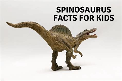 25 Spinosaurus Facts For Kids. - Dinosaur Facts For Kids