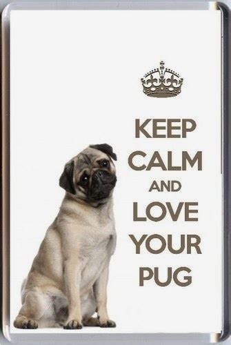 Pug Love Quotes. QuotesGram