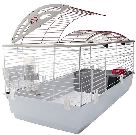 Guinea Pig Cage Size Guide - The Best Homes For Guinea Pigs