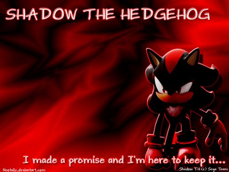 Quotes From Shadow The Hedgehog. QuotesGram