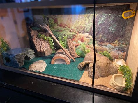 House Gecko Tank Setup - little house