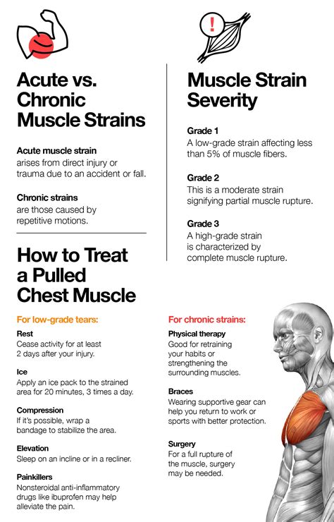 Pulled Chest Muscle: Symptoms, Causes and Treatment – The Amino Company