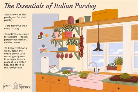 What Is Italian Parsley?