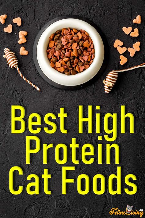 Best High Protein Cat Food: 11 Best Brands In January 2024