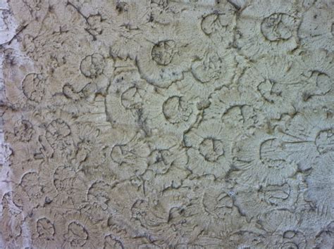 walls - What tool and technique do I use to achieve this finish in plaster? - Home Improvement ...