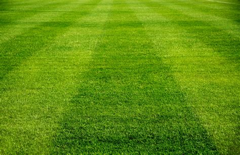 Football Field Grass - Bing images