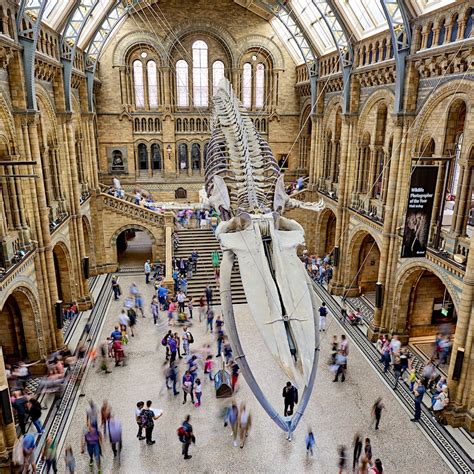 Fantastic beasts of Harry Potter exhibited at London's Natural History Museum