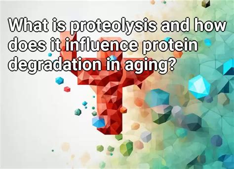 What is proteolysis and how does it influence protein degradation in aging? – LifeExtension.Gov ...