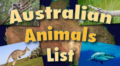 Australian Animals List With Pictures & Facts: Discover Australia's Wildlife