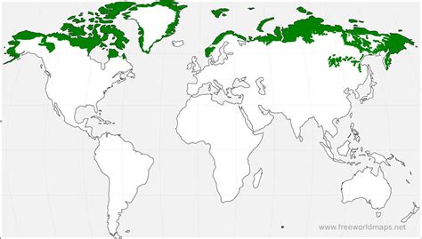 Tundra Biome World Map - Sacha Clotilda