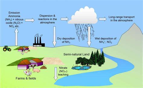 Effects Of Air Pollution On Environment