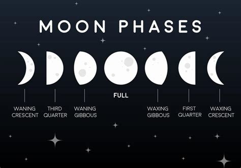 Vector Flat Moon Phases Icons - Download Free Vector Art, Stock Graphics & Images