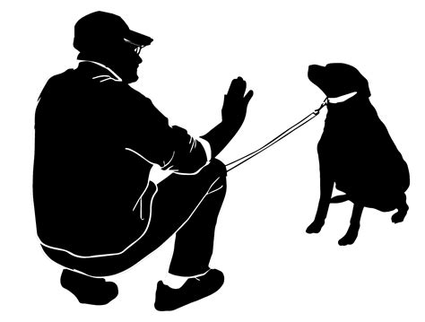 dog training png 20 free Cliparts | Download images on Clipground 2024