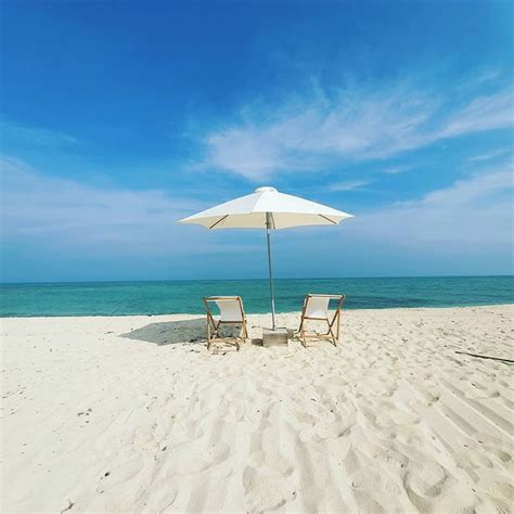 Dog Friendly Beaches in Qatar - BeachAtlas