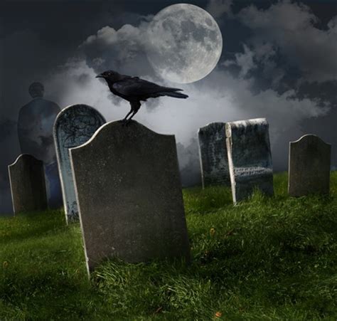 Moonlit Halloween Graveyard Backdrop