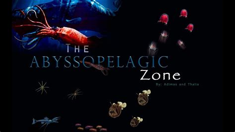 Abyssopelagic Zone Definition