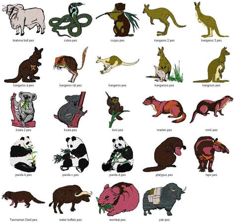 Australian Animals Names