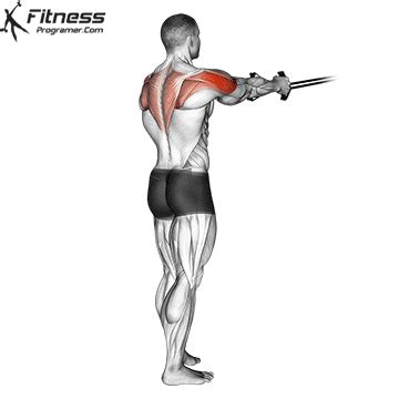 How To Do Cable Rear Delt Fly - Benefits, Muscles Worked