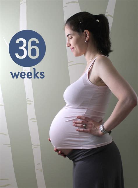 Pics Photos - Your Pregnancy 36 Weeks