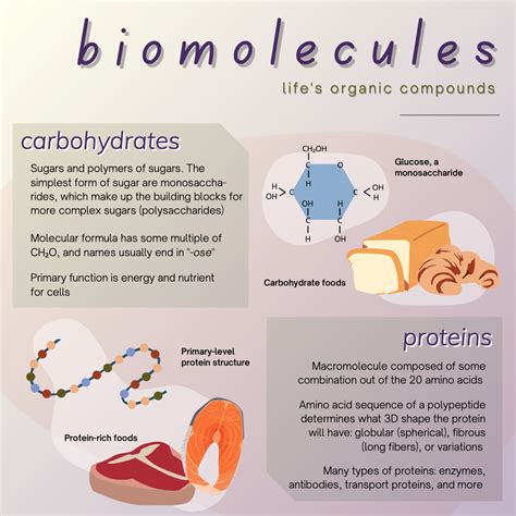 Gallery 1 — Biotech & Global Health Outreach