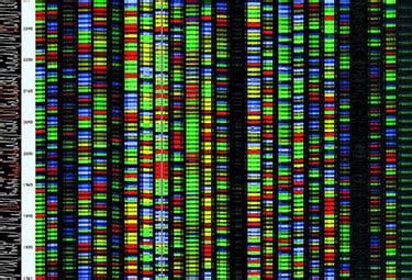 Do Identical Twins Have the Same DNA? - Twin Pickle