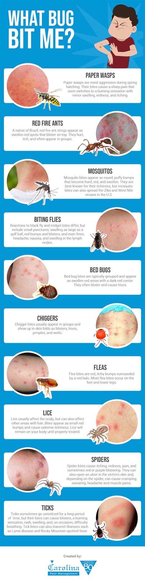 What Bug Bit Me? Carolina Insect Control Tips | Carolina Pest