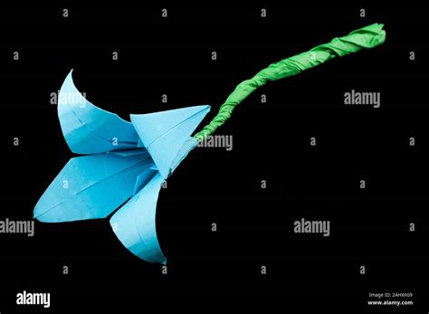 Blue Flower origami black isolated. Paper made flowers Stock Photo - Alamy