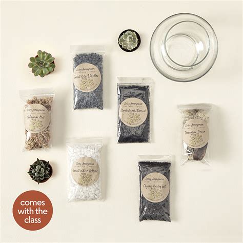 Succulent Terrarium Kit | Uncommon Goods